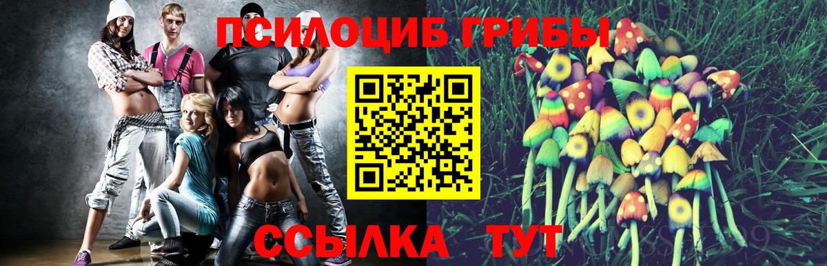 Ишимбай  Галлюциногенные грибы мицелий  Вход с VPN 